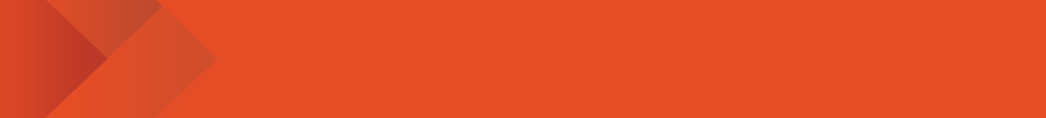 Site Footer Logo